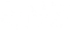 franchise maven logo
